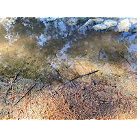 King tide image